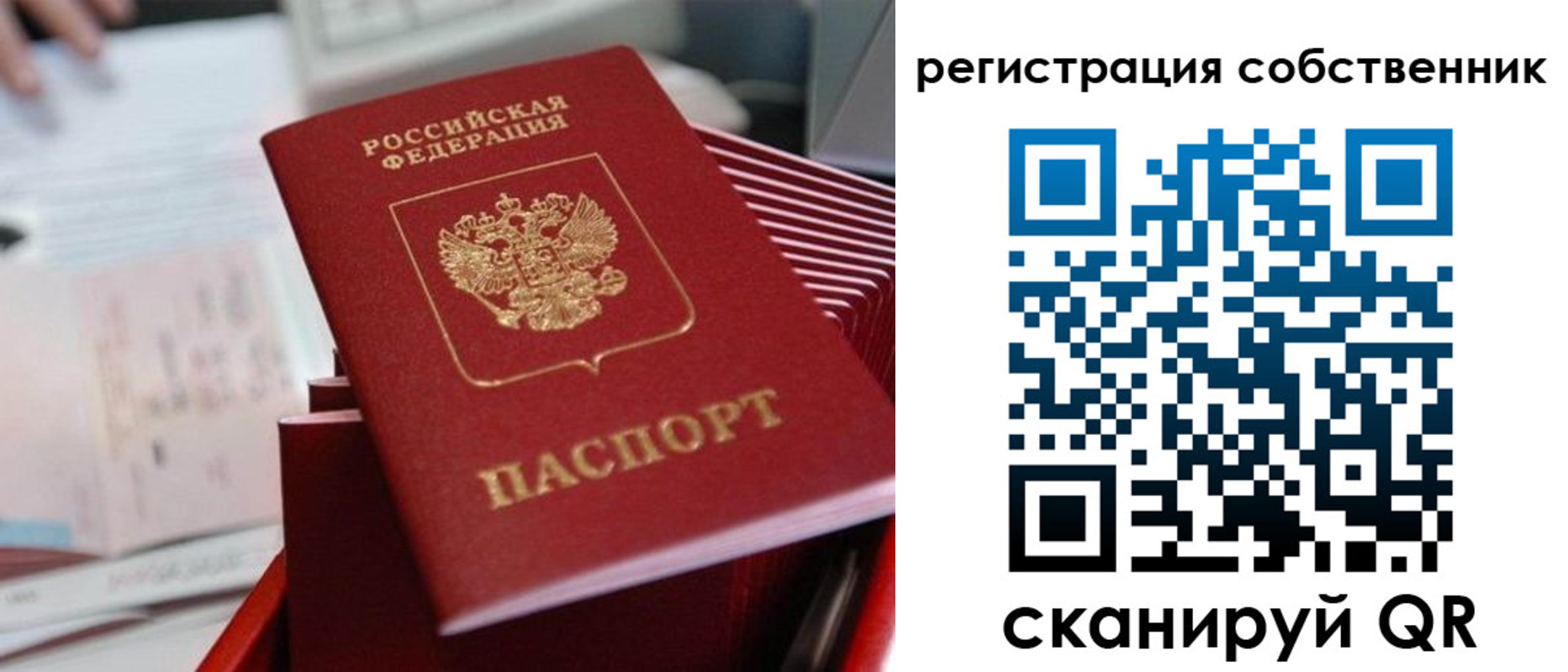 регистрация для школы в Ивантеевке